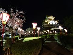 夜の松江城ライトアップ。
一眼レフではぶれてしまうので、普通のデジタルカメラの夜景モードで撮影。