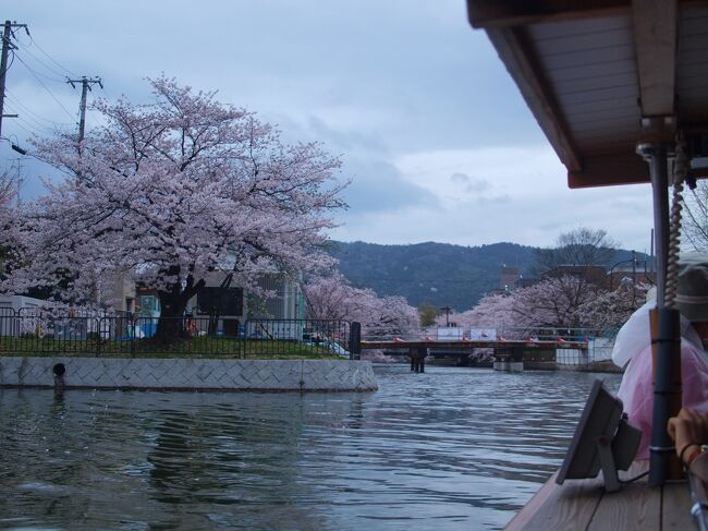 ガイドさんの京都弁の案内を聞きながら、のんびりと進む。