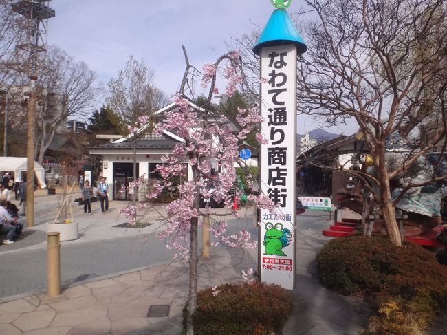 映画 Orange オレンジ のロケ地 松本グルメ旅 日本最古の国宝 松本 城 で満開の桜を鑑賞 城下町の面影を残す白壁の蔵はオシャレなカフェやショップなどにリノベーション 食べ歩きも楽しいナワテ通りや女鳥羽川沿いをワクワクしながら歩く 松本 長野県 の旅行記