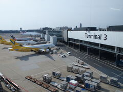 2度目の成田空港ターミナル3。早朝家をでてきたので朝食をここで食べる気満々で来ましたが、保安検査に時間がかかるとのことで仕方なく食べずにながーーーい列に並びました。

ちなみに…お得にJetstarで予約ができたのはいいのですが、
予約した次の日に確認メールを見返してみると

4/9　早朝　成田発
4/9　夕方　熊本発

となっていまして、このどアホな失態のおかげであやうく日帰り旅行になるところでした。
予約のし直しで一人3000円ほどのペナルティです。LCCの安さの理由には厳しさもあるのだ!!(ﾟ皿ﾟ;)