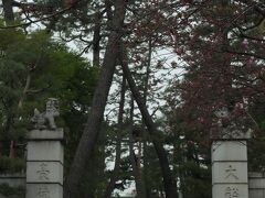 〈4月10日 豪徳寺〉
特に桜目的ではなかったのですが、調べてみると何本かあるとのこと。
小田急線豪徳寺駅から閑静な住宅街を歩きます。
お庭に桜のあるお宅が多いです。
ご自宅でお花見なんて羨ましい限りですね。
