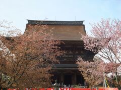 喜蔵院。桜はかなり散ってしまいました。
