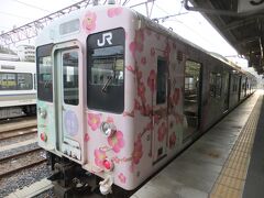 帰りの和歌山線は、綺麗なラッピング電車でした。
