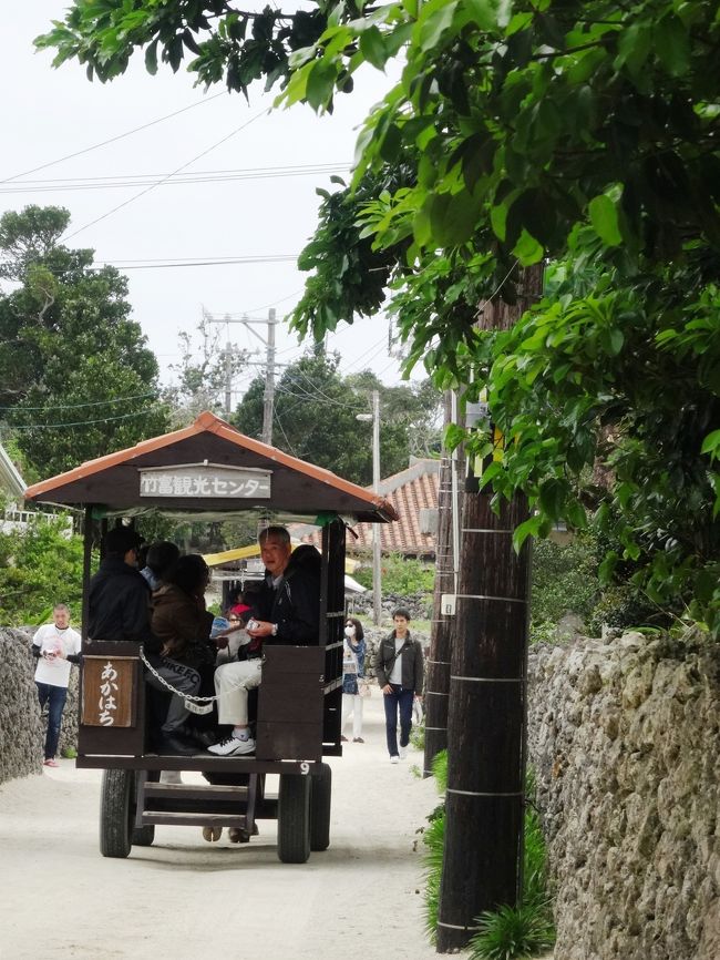 ここでも水牛車に乗ります