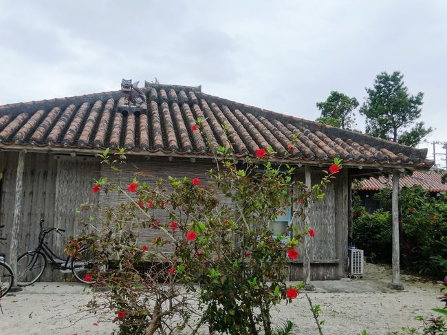 大きめのシーサー