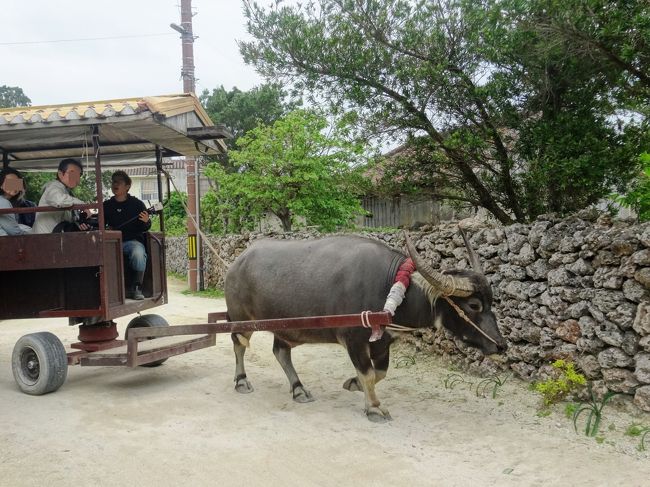 上と違うタイプです
