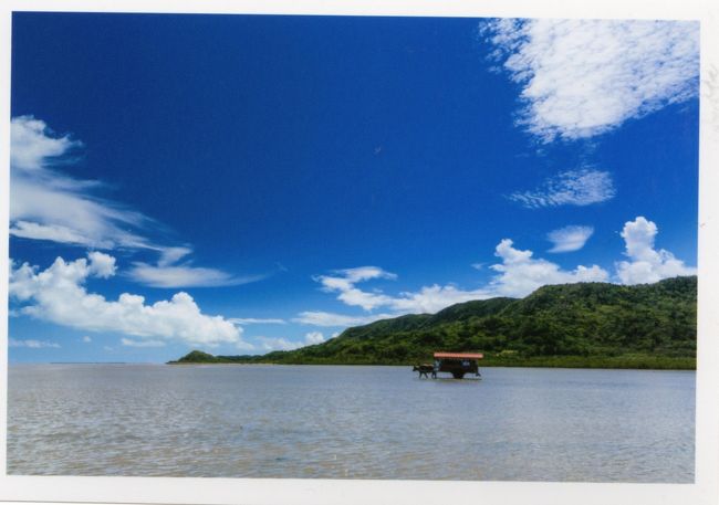 川平湾の絵葉書と一緒にもらった写真。<br />きっと、由布島の写真でしょう。