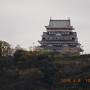 熱海温泉の春・花ぐるり旅