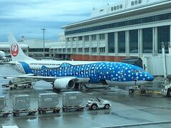 2016年4月9日(土)、悪天候のため、那覇空港には定刻より21分遅れて、11:36に到着。

写真は、那覇空港に駐機中の機体記号JA8939 ジンベエジェット。沖縄美ら海水族館とJTA（日本トランスオーシャン航空）のコラボ。ジンベエジェットの腹には、コバンザメがくっ付いてるらしいw