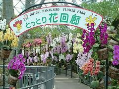 レンタカーで鳥取県立フラワーパーク「とっとり花回廊」へ