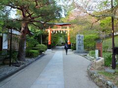 橋を渡って宇治上神社へ。世界遺産です。