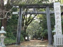 白良浜の側に、熊野三所神社があります。
境内は白砂の砂浜なのです。
こんもりとした神社の森は、県の天然記念物に指定されています。