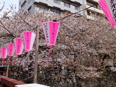 中目黒駅から降りて目黒川を目黒駅方面にぶらり
桜を観ながら歩きました。
満開を過ぎて　花びら散ってしまっている木もありました。