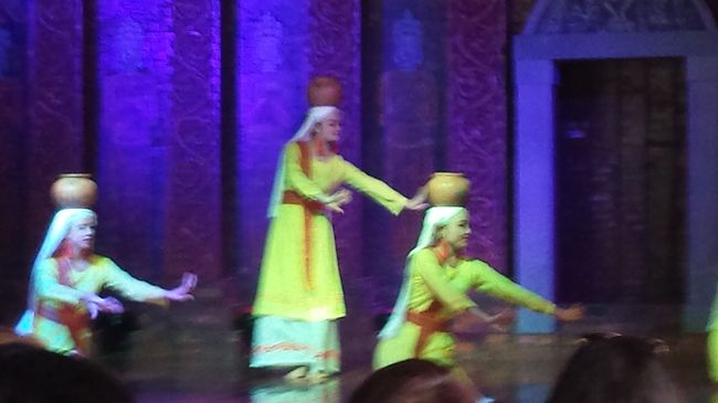 ショーを見てから帰ります！<br /><br /><br />帰りはちゃんとした道だけど、遠い…<br />