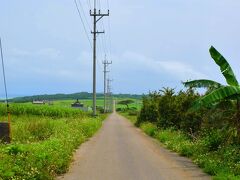 細崎から港の方に戻る時通ったシュガーロード
ちゅらさん見てないから、特に興味なくて適当に撮ったんだけど
適当に撮り過ぎて何だかよく分からないな・・・・ｗｗｗ

瑠璃の島ならちょっと前神木くん出てるやつ見た事あるんだけどなｗｗｗ
ちゅらさんは本当に何も知らないｗｗｗ