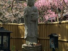 極楽寺の中にある、お地蔵様。見頃の綺麗な桜と一緒に。この時期は桜もあって、より一層趣きがありますね。