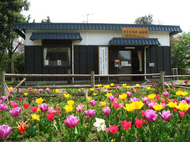 １６ 日本１００名城 桜の咲く佐倉城 佐倉 四街道 千葉県 の旅行記 ブログ By たーさん フォートラベル