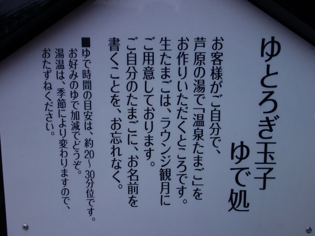 温泉たまごが作れるサービス。