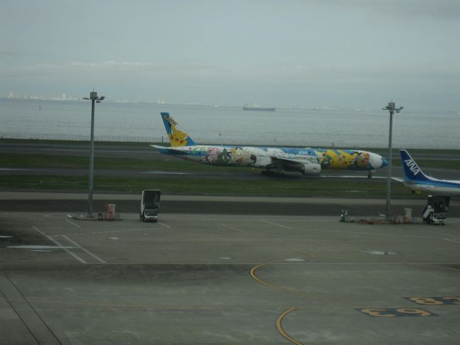 ピースジェット（ポケモンジェット　ボーイング777-300）も見納めです。たくさんの子供たち（大人も）を楽しい空の旅につれていってくれて、ありがとう。ほかにも、キティジェットや、くまモンのついたソラシドエアなどいろんな飛行機をみることができました。帰りは、前便の遅延もあり、空港が混雑し、D滑走路から離陸して帰りました。着陸も、空港の混雑のため、上空で時間待ちでした。安全な空の旅を守ってくださっているたくさんの方々へ感謝です。<br />