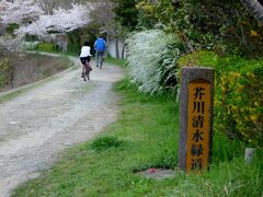 さて、ペットボトルのお茶を飲みつつ、芥川沿いを下って行きましょう。

「芥川清水緑地」としてのんびり歩きます。
四季の花が咲いており和みます。この時期は桜だけでなく雪柳も満開でした。