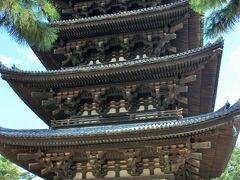 日向ぼっこしてる鹿と五重塔