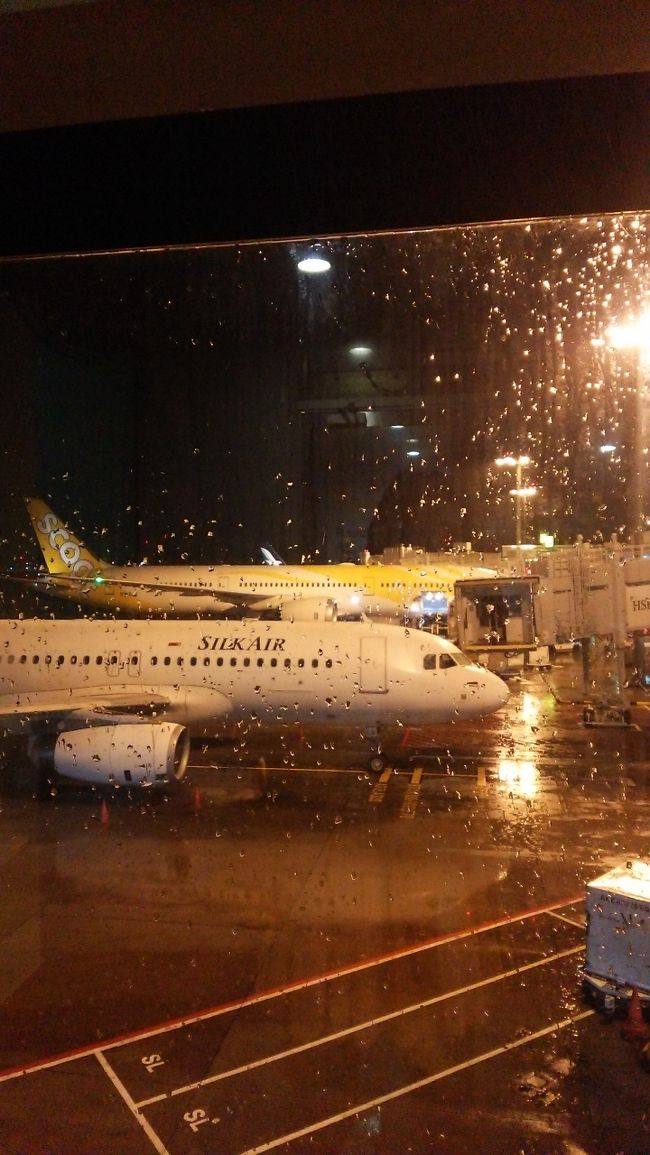 チャンギでは雨だったので<br />ちょっぴり心配しましたが。<br /><br />バリ島は晴れ