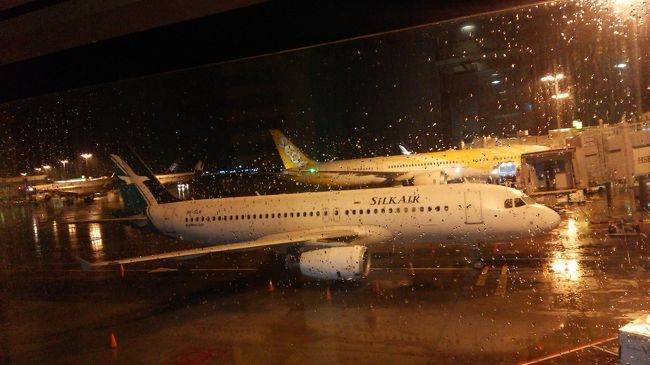 雨に濡れる期待も。<br />これまた　ステキ。