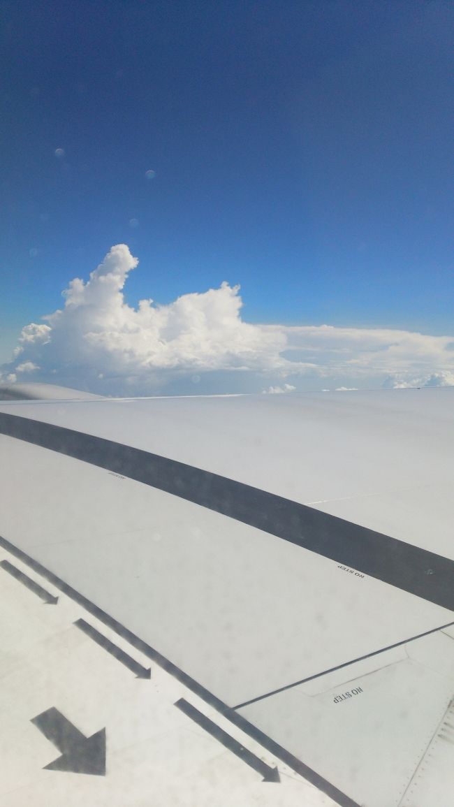 今回はシンガポールエアラインで<br />シンガポールチャンギ空港で乗り換えです。<br /><br />チャンギ空港で何しようかな。。。