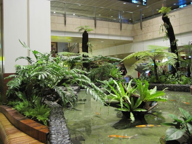 チャンギ空港に到着。<br />空港内にこんなにステキなお池が。<br /><br />癒されちゃいます