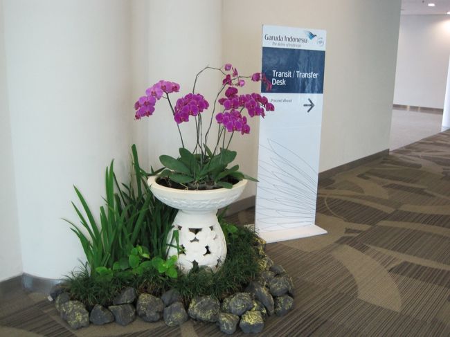 蘭がお出迎え。<br />こういう癒しポイントは大事。だいじ。