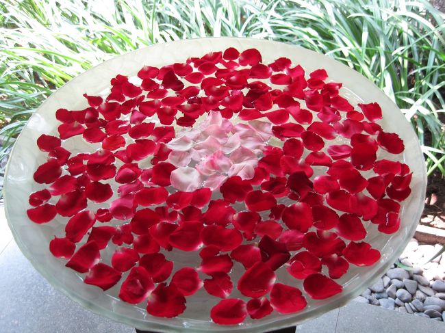 水盤に並ぶ花びらの美しいこと。<br />これを並べている方がいると思うと<br />それだけでテンションあがります