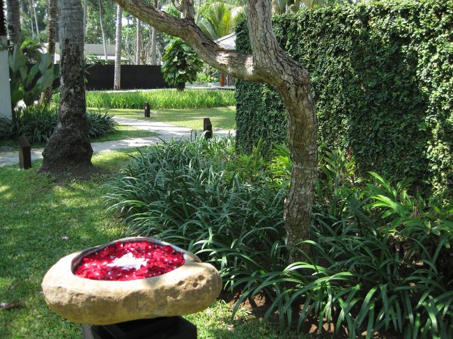 入り口の　水盤に花びらが浮いているオブジェのあるトコロが<br />スパ入り口です<br /><br />初めてのスパエリアは楽しみです