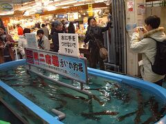 活いか釣堀では観光客が竿でイカを釣っています。