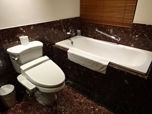 ウォシュレット完備です。海外ホテルに滞在する際の夫の強い希望は、ウォシュレット完備のホテルと、朝食バイキングが多いところ・・それだけです。