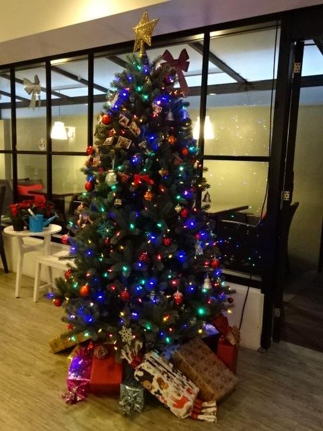 翌朝、朝食会場へゆくと素敵なクリスマスツリーが飾られていました。会場は大変清潔でスタッフの方々が明るく挨拶をしてくださり好感が持てました。