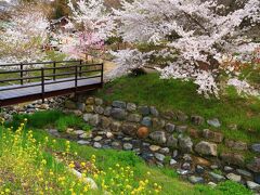 12：30　桜仙峡（おうせんきょう）/陸郷の桜

山桜は見頃終了、染井吉野や大山桜、菜の花が見頃。


ラベンダーガーデン夢農場駐車場/無料