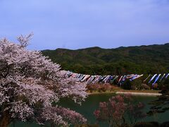 15：40　荒神山公園（こうじんやまこうえん）

風が強くなってきたので鯉のぼりを見に急遽荒神山公園へ。
池の周囲に彼岸桜、染井吉野など800本以上が見頃。


駐車場　無料