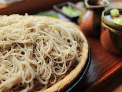 11：30　そば処　元蔵（げんぞう）

ここのお蕎麦が食べたくて伊那から安曇野まで移動。
並もりでも量は多め。


並もり　1000円ぐらい


11：30〜13：30（売り切れご免）
駐車場有り