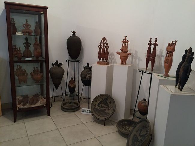 ダルウィーシュはフランス、チュニジア、シャルジャ（アラブ首長国連邦）などで賞を獲得し、カイロ大学を始めとするエジプトのトップ大学や芸術学院等で教えてもいました。