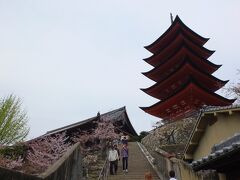 大願寺から、厳島神社の裏を横切り、五重塔へ。石段を上った高い場所にある