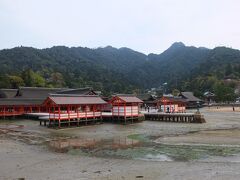 ちょうど干潮の時の厳島神社