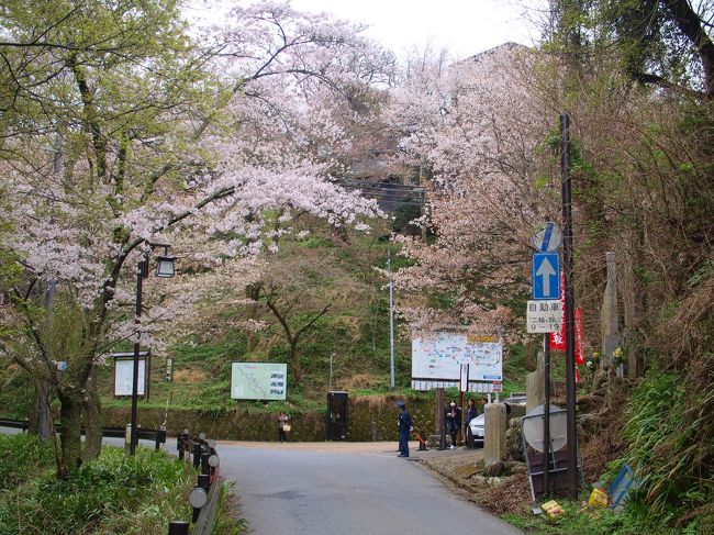 臨時バスは如意輪寺を経由し吉野中千本公園へ向かう。<br />如意輪寺で降りたひとは数名だった。<br />９時１０分ころに吉野中千本公園に着いた。<br />写真の警備員さんがいるあたりにバスが着く。<br /><br />上千本に行くバスに乗り継げると車内アナウンスがあった。<br />朝一番のバスだったからか、階段を上りバス乗場へ向かう人が多い。<br />