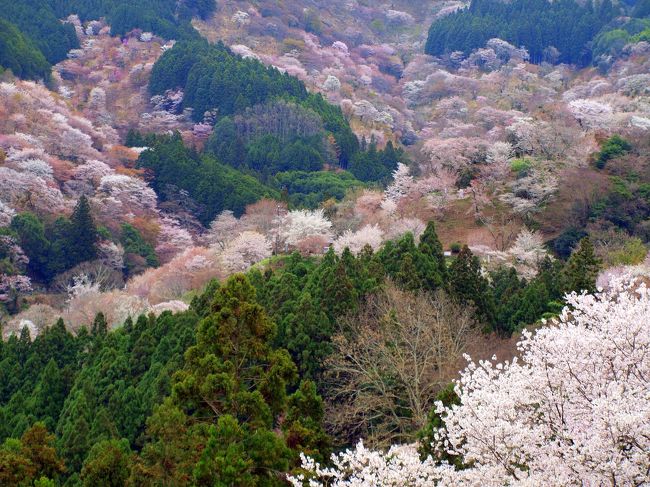 来てよかった！<br />