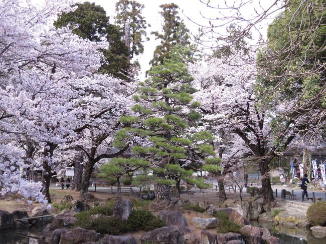 山梨の桜を求めて 恵林寺へ 勝沼 塩山 山梨県 の旅行記 ブログ By あんみつ姫さん フォートラベル 山梨の桜を求めて 恵林寺へ 勝沼 塩山 山梨県 の旅行記 ブログ By あんみつ姫さん フォートラベル