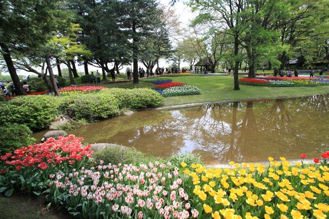 ほんのり青空が戻って来た水鏡の世界と共に