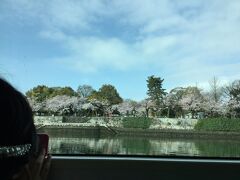 船室内の車窓より。
対岸の平和公園は満開に近い桜と、花見客でいっぱいです。