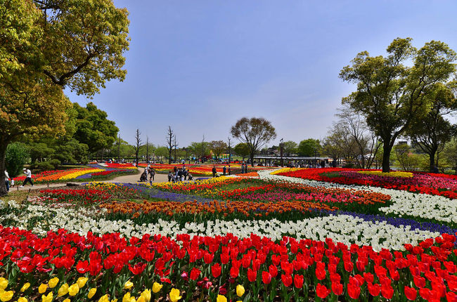 日本一大きな国営公園 木曽三川公園 チューリップ祭16inかいず 安八 海津 岐阜県 の旅行記 ブログ By 風に吹かれて旅人さん フォートラベル