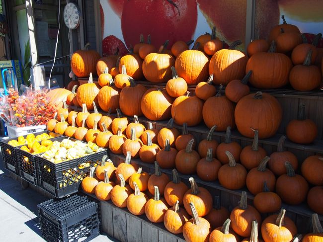 まだまだぶらぶらは続きますよ〜<br />今度はチェルシー方面に向かう途中で、かぼちゃの山に遭遇。<br />やっぱりハロウィン前ですね。