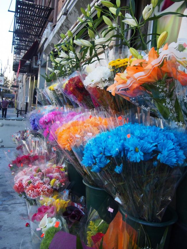 かぼちゃが売っているお店でお花も売ってました。<br />しかし、この青い花、すごいね・・・