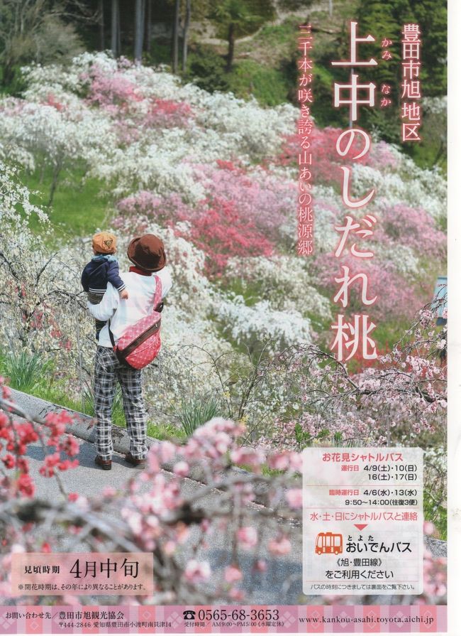 桃源郷といわれている 上中の しだれ桃の里 豊田 愛知県 の旅行記 ブログ By 風に吹かれて旅人さん フォートラベル 桃源郷といわれている 上中の しだれ桃の里 豊田 愛知県 の旅行記 ブログ By 風に吹かれて旅人さん フォートラベル